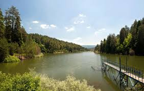 Bilecik Pazaryeri nde  Yangın ve Tarım Envanteri İçin Seferberlik