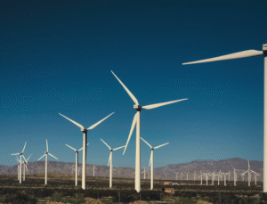 Rüzgarın Gücü İzmir’de: Rüzgar Enerjisinin Geleceği Şekilleniyor