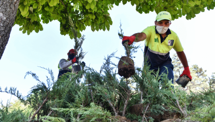 Ankara Büyükşehir’den Kavurucu Sıcağa Karşı Personeline Özel Önlemler