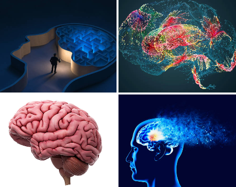 Beyin, Yapay Zeka ile Yeniden Şekilleniyor!