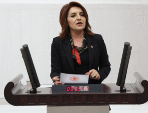 Gülcan Kış Orman Yangınları Tepkisi: “İhmaller Yine Can Yakıyor”