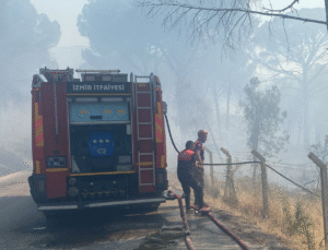 İzmir’de Terzihaliller, Göbeller, Aşağıcuma ve Karaveliler Tehlike Altında