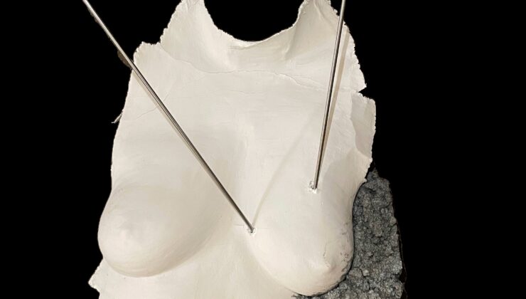 BodrumArt’ın 20. Yılına Özel Sergi: İnci Başağa Yörükoğlu ve Deniz Demirer Bir Arada