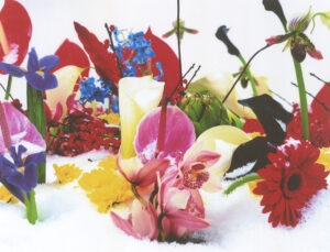 Toprak, Ateş, Su, Hava”: Pera’da Yeni Sezon