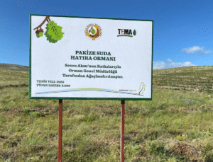 Sezen Aksu’dan Vefa Ormanı, Pakize Suda İçin 5 Bin Fidan