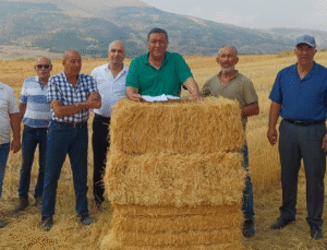 Gürer, Çiftçi Zorda: Buğday Maliyeti 18,80 TL, Alım Fiyatı 13,50 TL!