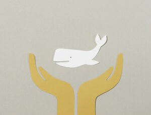 Yapay Zeka ile Tüp Bebek Tedavisinde Başarı Oranı Artıyor