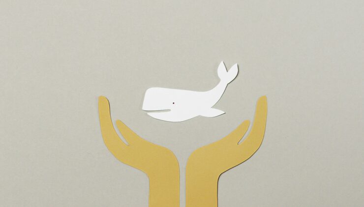 Yapay Zeka ile Tüp Bebek Tedavisinde Başarı Oranı Artıyor