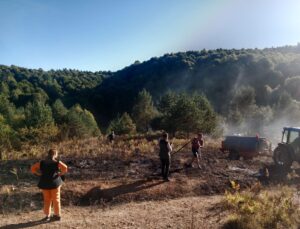 Pazaryeri’nde Alevler Çam Ormanına Ulaşmadan Kontrol Altına Alındı