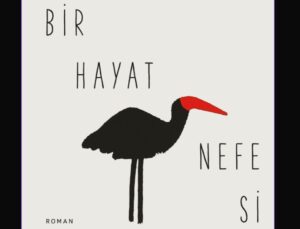 Yüzyılın en büyük kadın yazarlarından Clarice Lispector, Can Yayınları’nda!