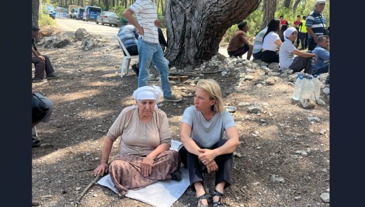 Akbelen’de Yeniden Gerilim: Zeytin Ağaçlarının Sökülmesine Siyasetçilerden Tepki