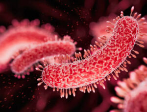 Kan Zehirlenmesi Değil, Organlara Saldıran Bir Acil Durum: Sepsis