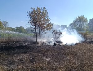 Bilecik Pazaryeri’nde arazi yangını jandarmanın dikkati sayesinde büyümeden söndürüldü