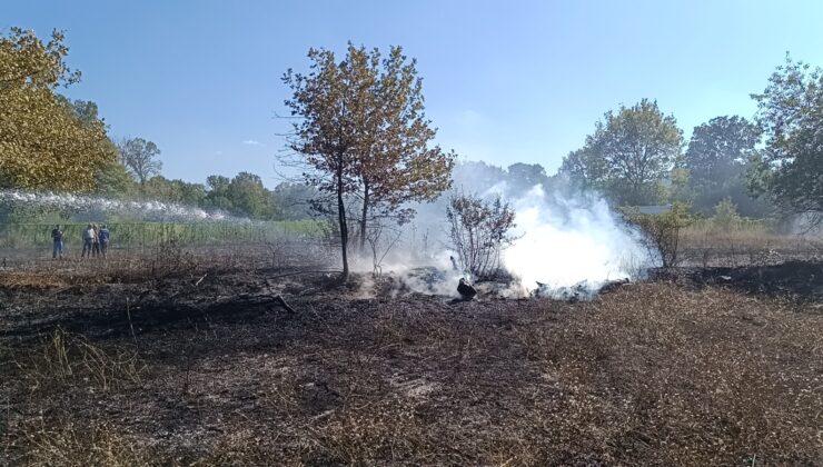 Bilecik Pazaryeri’nde arazi yangını jandarmanın dikkati sayesinde büyümeden söndürüldü