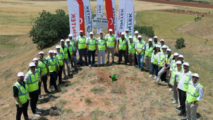 Sintek Group’tan 20. Yıl Hediyesi: Delice’ye 10 Bin 325 Fidan