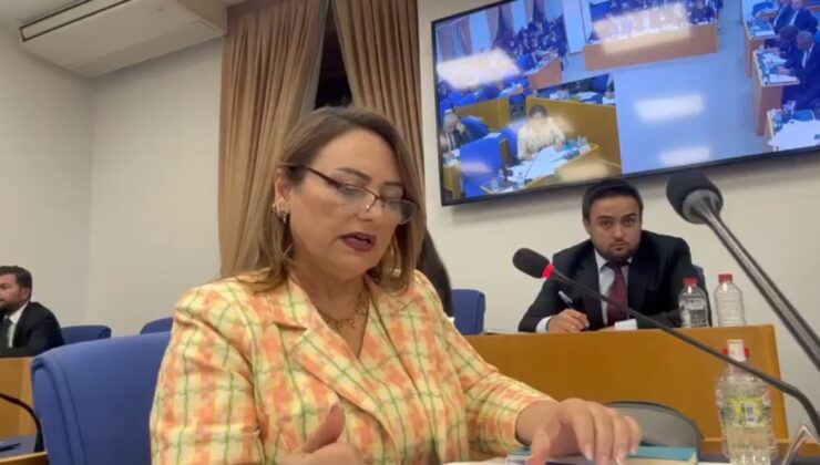 CHP Adana Milletvekili Şevkin, Hukuk Güveninin Olmadığı Yerde Kalkınmadan Söz Edilemez.