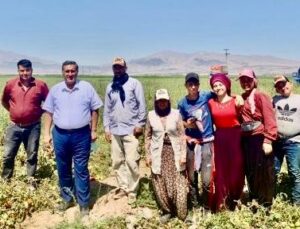 CHP Niğde Milletvekili Gürer: Kadın Çiftçi ve Tarım İşçisi Sorunlu Bir Dönem Yaşıyor