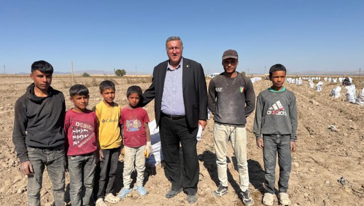 Gürer, Tarım İşçisi Çocukların Eğitim Hakkı Önündeki Engellere Dikkat Çekti