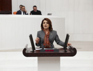 CHP’li Gülcan Kış’tan Çalışma Bakanı’na İşçi Hakları Tepkisi