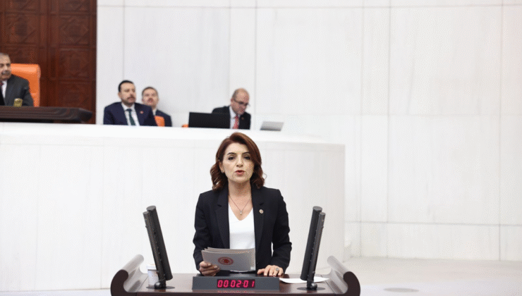 CHP’li Gülcan Kış: Ekonomi değil, vatandaş batıyor. Halk faize, yanlış politikaların faturasını ödüyor!