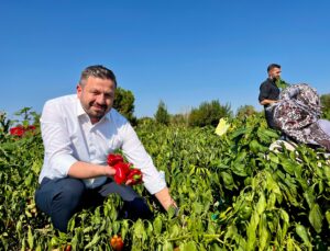 Zirai Dondan Zarar Gören Balıkesirli 1.686 Üreticiye 44 Milyon TL Ödeme Başlıyor