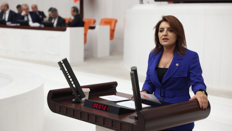 Gülcan Kış: Fazla Borçlanmaya ‘Strateji’ Kılıfı!