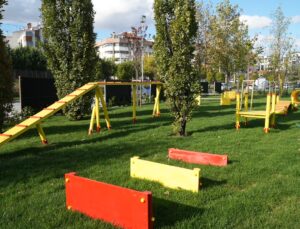 Pati Park Açıldı, Hayvan Ambulansı ve Mobil Bakım Hizmetleri Aralıksız Sürüyor