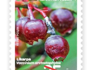 PTT AŞ’den “Yabani Meyveler-4” Konulu Resmî Posta Pulu Tedavülde