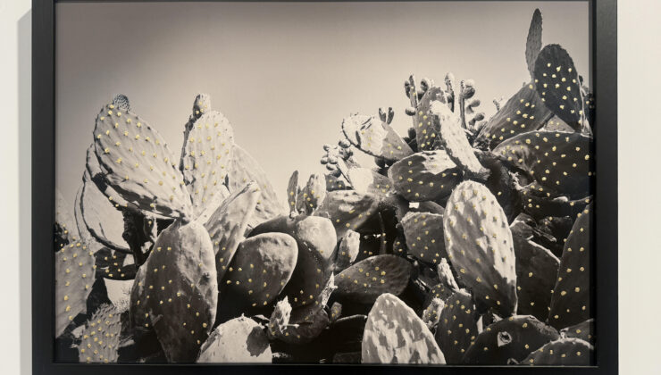 Lara Sayılgan “Park” ve “Unborn Park” Asia Now Paris’te.