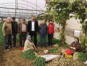 “Üretici Aç Kalırsa Ülke Aç Kalır”: Plansız Üretim Tarımı Çıkmaza Soktu, Gözler Eski Hal Yasası’nda!