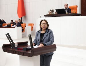 Müzeyyen Şevkin: “Bir tarafta mutlu azınlık, bir tarafta borçlu, icralık milyonlarca insan var!”