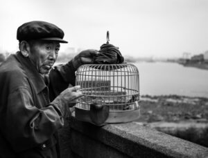 İş Dünyasından Sanata Yolculuk: Dr. Selim Seval’den “İnsan / The Human”