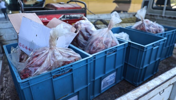 Antalya otogarında 270 kilo uygunsuz taşınan et bulundu