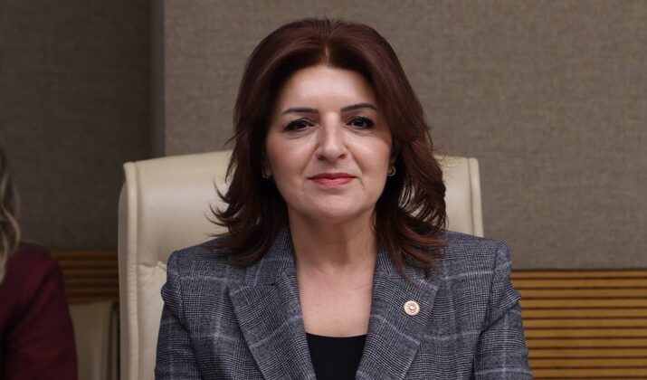 Gülcan Kış’tan Torba Yasa Tepkisi, Yetki Var, Sorumluluk Yok