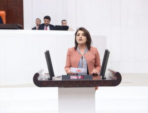 Gülcan Kış, Bu Teklif AKP’nin Son Satış Kataloğudur!