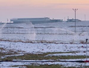 Bir tarlaya, 100 konutluk kaçak elektrik