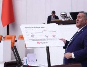 4 Milyon Hayvan Nerede? Gürer, İktidarın Çelişkili Verilerini ve “Boşalan Ahırları” Gündeme Taşıdı