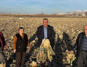 Gürer Tarladan Seslendi: “Karnabahar Değer Bulmadı, Üretici Çaresiz!