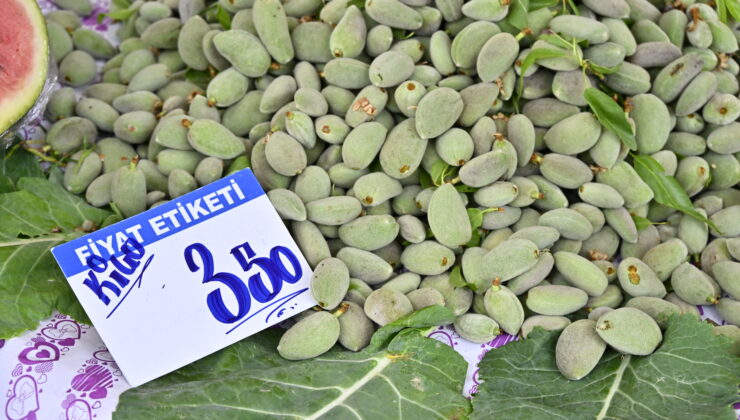 Dervişoğlu’ndan Sert Pazar Tablosu, Vatandaş Çöpten İhtiyaç Karşılıyor