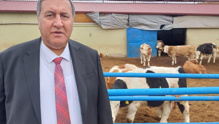 Yerli Üretici Yerine İthalata Sarıldılar: Hayvancılıkta Dışa Bağımlılık Riski Büyüyor