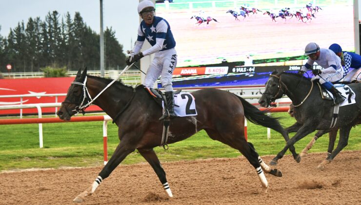 Kumun Yeni Kralı Selim Kaya ile Doğdu: Dapper Man’den Akdeniz’de Dev Gövde Gösterisi!