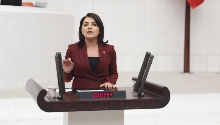 Gülcan Kış: Türkiye’de tablo ağır, iktidar hâlâ yeni vergi peşinde”