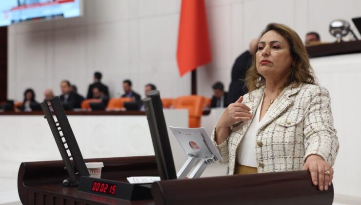 Şevkin, Kamera Çözüm Değil: İlkokula İnen Çetelere Karşı Kamucu Devlet Şart!