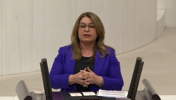 Aygül Doku’nun 600 Milletvekiline Çağrısı Meclis Kürsüsünde,