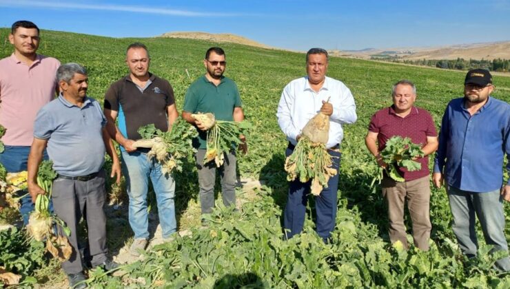 İcra Kıskacı, Takipteki Alacaklar 4 Kat Arttı, Traktörler Satışa Çıkarılıyor