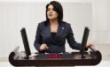 CHP Mersin Milletvekili Gülcan Kış, Türkiye Büyümeyi Unuttu