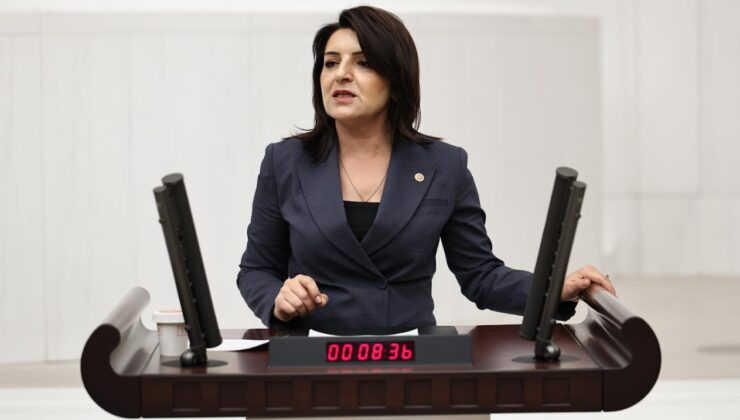 CHP Mersin Milletvekili Gülcan Kış, Türkiye Büyümeyi Unuttu