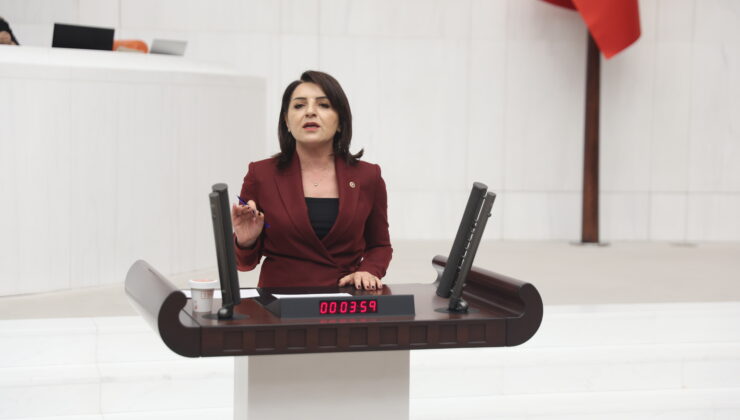Gülcan Kış’tan Torba Kanuna Sert Tepki: “Bu Zam Emeklinin Çilesini Bitirmez!