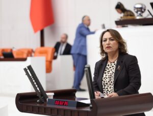 Müzeyyen Şevkin, 386 Bin Ruhsatla Doğa ve Tarım Yağma Altında