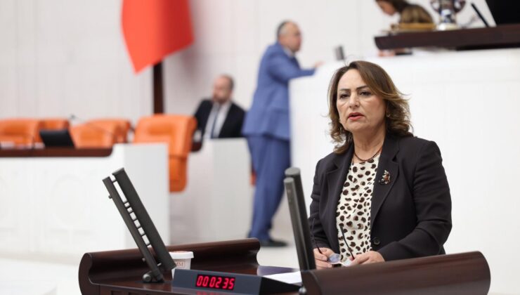 Müzeyyen Şevkin, 386 Bin Ruhsatla Doğa ve Tarım Yağma Altında